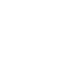 media-partner-3-cine-plex